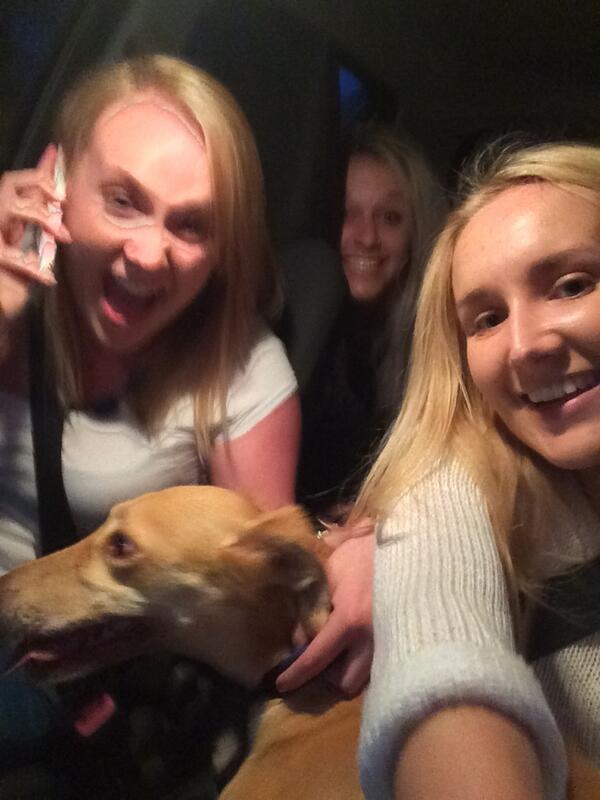 RebWalker93's tweet photo. Just saved a dog no biggie @KayAtwill @DanielleWeeks2 @BethWillmot http://t.co/XXozuTyUX4