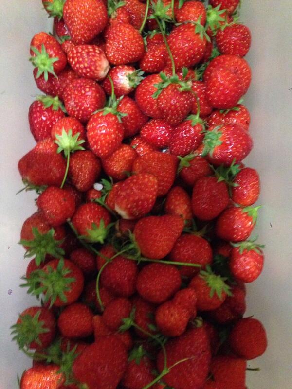 #France #Santé #Ecologie