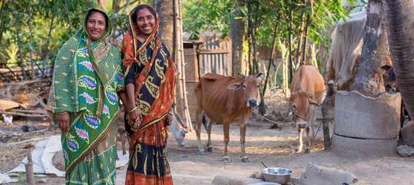 Heifer International tweet media