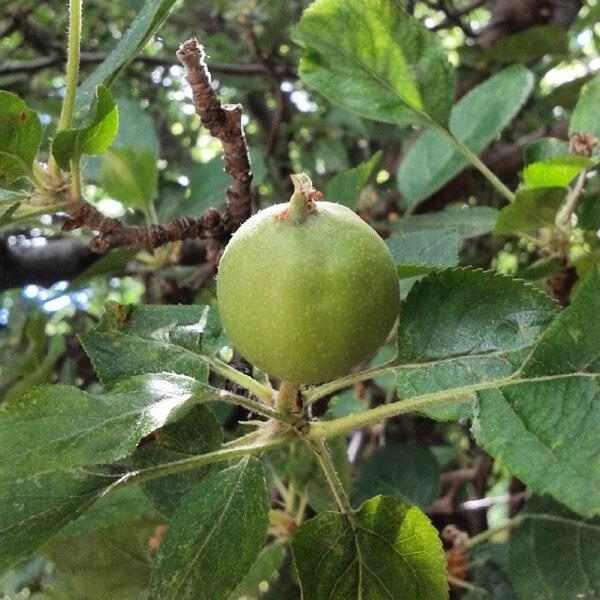 SocialHub tweet media