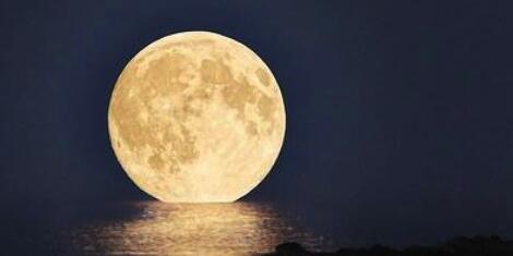 Moon Phases tweet media