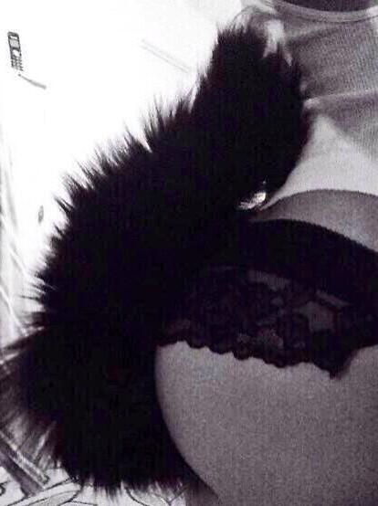 sofukinfake_2's tweet image. That's to a kitty hybrid i turned into one :(