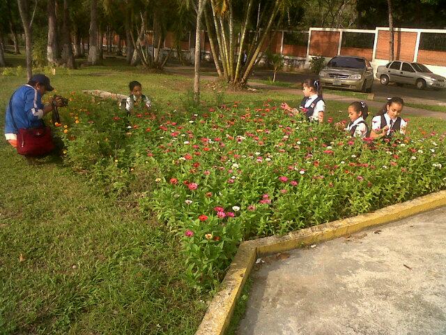 Enlace permanente de imagen incrustada