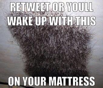 femaIestweets's tweet image. I hate twitter