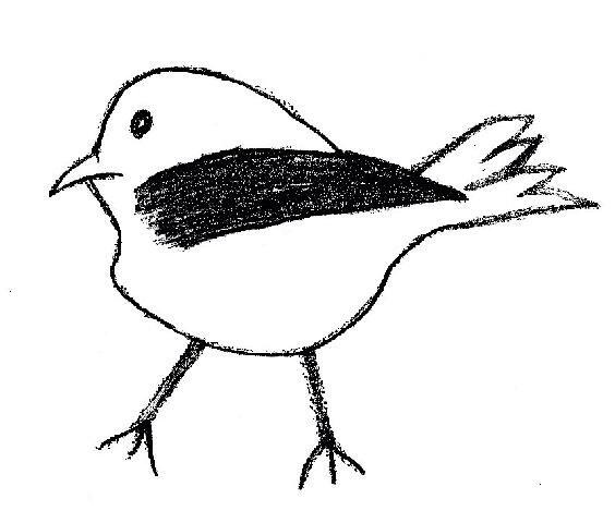 Victor A. Teran tweet media