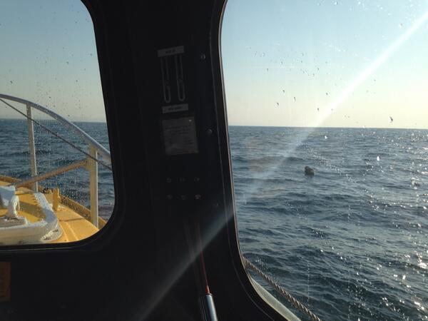 Close quarter maneuvering off shore.