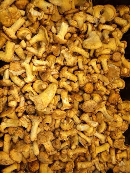 ChefDanCox's tweet photo. First UK giroles of the season, amazing! http://t.co/2KkCfK41Bo