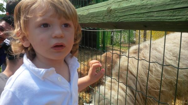 a_margiotta's tweet image. #FattoriaRubini #Spessa #FVG