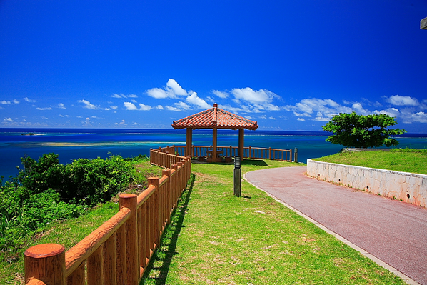 view__bot tweet picture