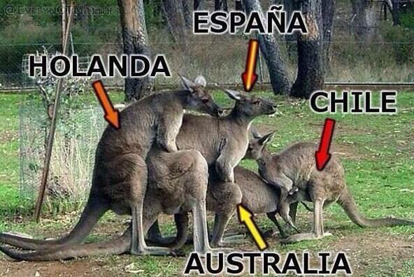FutballTweets's tweet photo. GRUPO B:

1. #NED: 3 points.
2. #CHI: 3 points.
3. #AUS: 0 point.
4. #ESP: 0 point. http://t.co/q7AelqUsfz