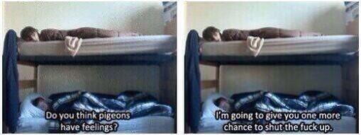 YcuTcber's tweet photo. Sadly I'm the guy on the top bunk.! http://t.co/ltqVbfqz9W