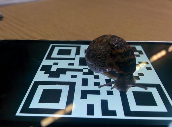 dr julie freeman, artist tweet media