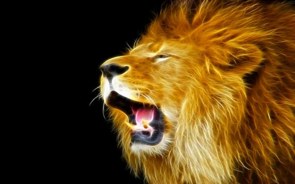 thegproject8's tweet photo. keep an eye out for our first book "  The difference between lions and hyenas" #thegproject http://t.co/rTu59efSif