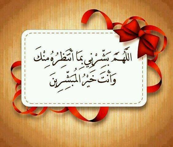 aseel sahnoon (@alaminduha) on Twitter photo 