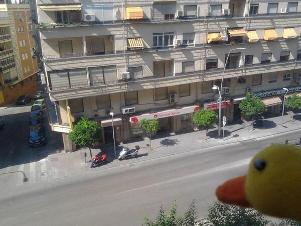 PatoFilosofico's tweet photo. Con este calor no hay nadie cuack cuack! http://t.co/gXmavuJ75e