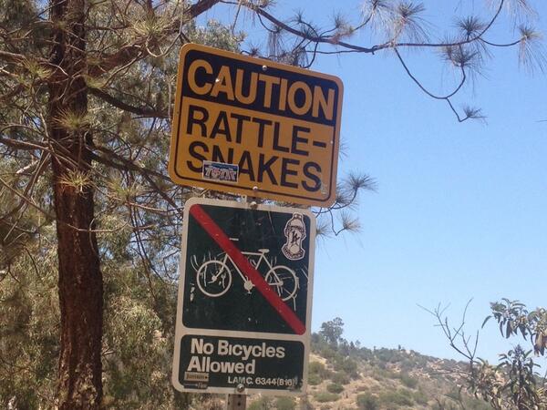 MarcTelling's tweet image. Hiking in Hollywood #livinglifeontheedge