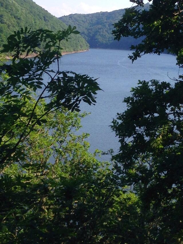 Permalien de l'image intégrée