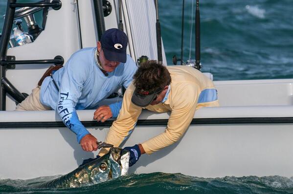 Saltwater Experience (@saltwaterexp) on Twitter photo Tom and Rich going for a quick tarpon release. <a href="/QuantumTackle/">Quantum Fishing</a> <a href="/TrueFliesllc/">Peel-n-Eat Shrimp</a> <a href="/CostaSunglasses/">Costa Sunglasses</a> <a href="/YellowfinUSA/">Yellowfin Yachts</a> Tom and Rich going for a quick tarpon release. <a href="/QuantumTackle/">Quantum Fishing</a> <a href="/TrueFliesllc/">Peel-n-Eat Shrimp</a> <a href="/CostaSunglasses/">Costa Sunglasses</a> <a href="/YellowfinUSA/">Yellowfin Yachts</a>