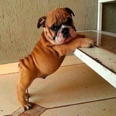 OMGCutePosts's tweet photo. Baby Fat. http://t.co/w6UqjOuAC1