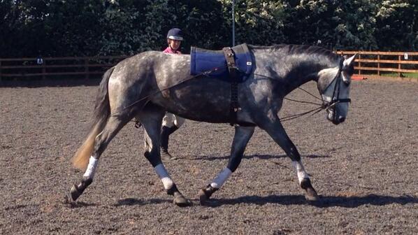 kirstyhen's tweet image. Definitely filling out!!! Worryingly getting lighter by the day! #greyproblems