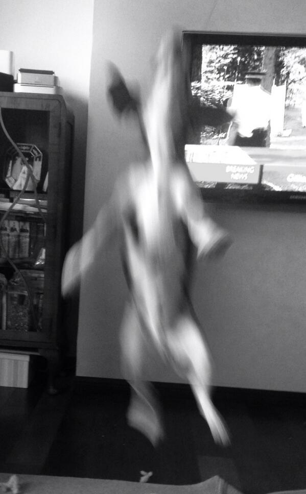 para-beagle activity