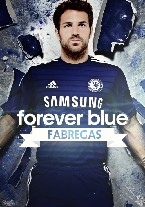 FaktanyaCFC tweet picture