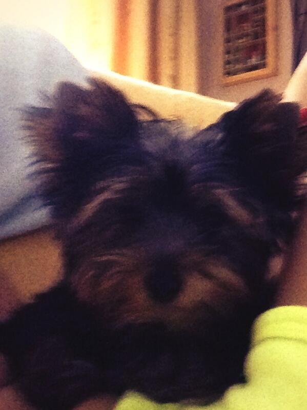CrisOntavilla's tweet photo. Selfie Bimba @marianp8287 http://t.co/TEpl5NXhPc
