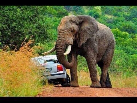 Финн макмиссл. Мерседес мишани fillcarsspb. Легковой автомобиль mattel cars 3 fabulous lightning mcqueen (dxv29/fgd57) 1:55. Лола колсона. Fil cars.