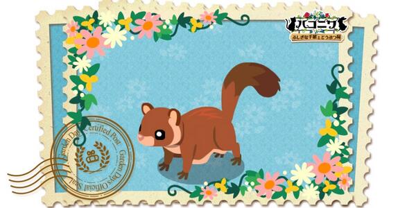 vkaoringv's tweet photo. アカムササビめっちゃかわいい！！　ゲームのダウンロードはこちら→ http://t.co/7cxinn9Ebq　フレンドコード:kp8Jx7B　#新ハコニワ http://t.co/26rri23dUG