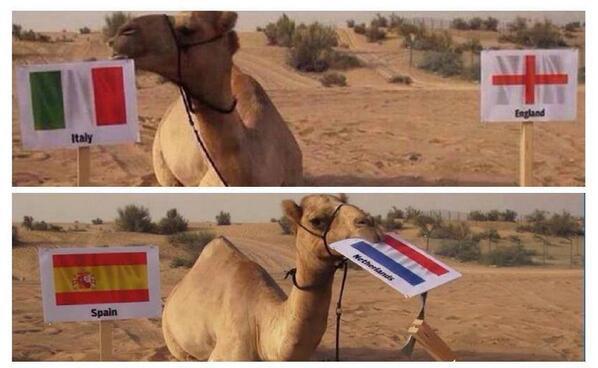 TheClubPark's tweet photo. The camel got it right again! http://t.co/6mBVYWnQGR
