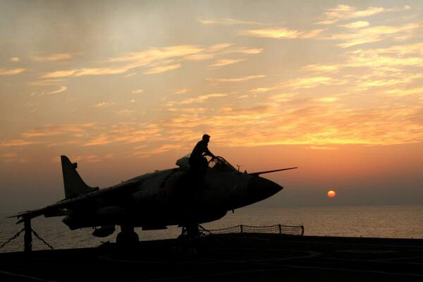 A Harrier by the sunset!