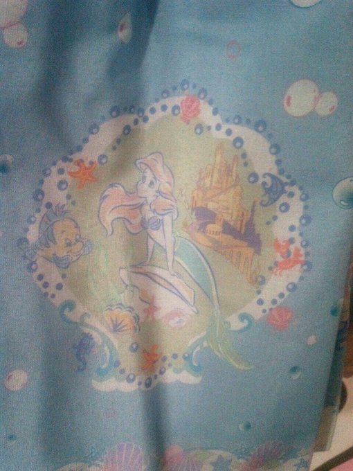 ロリィタさんが大好きな夢の国といえば ロリィタさんのディズニーデビューの カリスマトーク 女の子のカワイイを発信するメディア