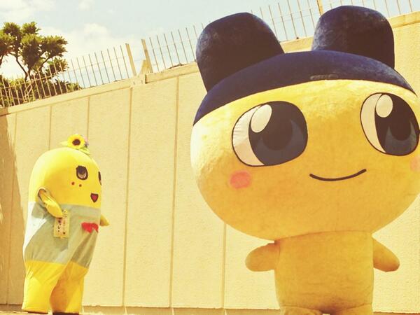 ゜▽゜)まめっちセンパイありがとうございますなっしー…