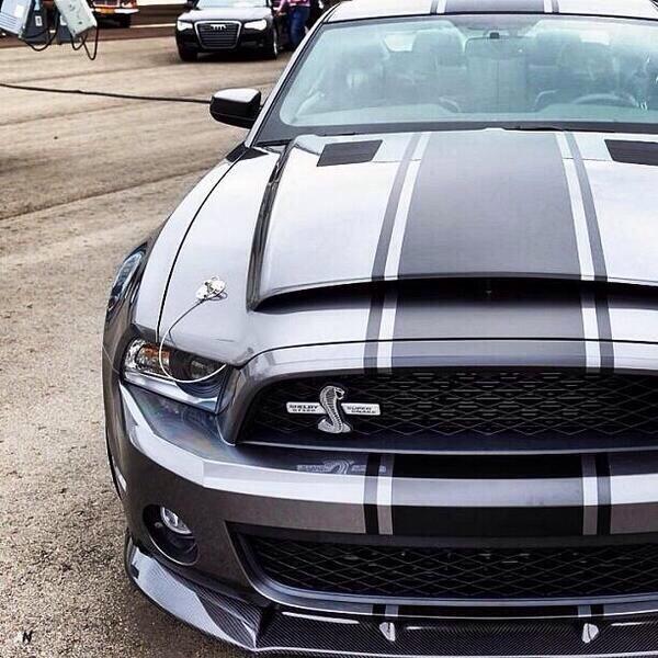 BeastsCar's tweet image. Ford Shelby GT