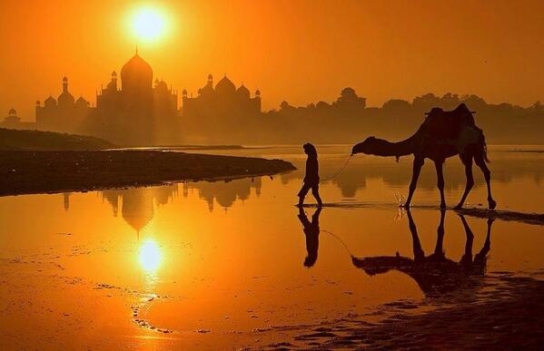 Gabriele Corno tweet media