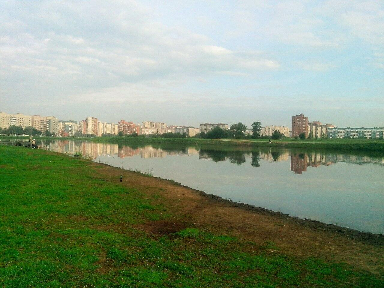 Озеро долгое спб. Парк озеро долгое Санкт-Петербург. Озеро долгое Приморский район. Озеро долгое СПБ сцена. Долгое (озеро, Приморский район Санкт-Петербурга).