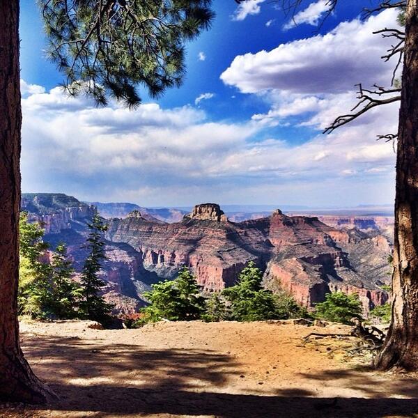 NatlParksPhotos's tweet photo. Framing the Grand on the way to Cape Final
#AZroadtripUT #GrandCanyon #NorthRim #CapeFinal #instagramaz @jcbuille... http://t.co/Jgx49MaWMp