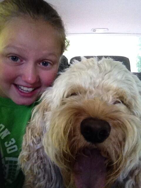 CGetek's tweet image. 