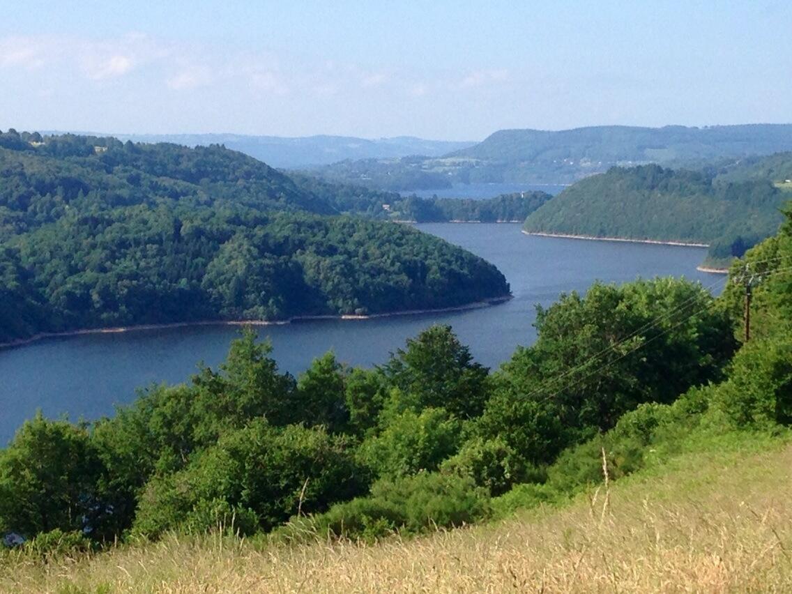 Permalien de l'image intégrée