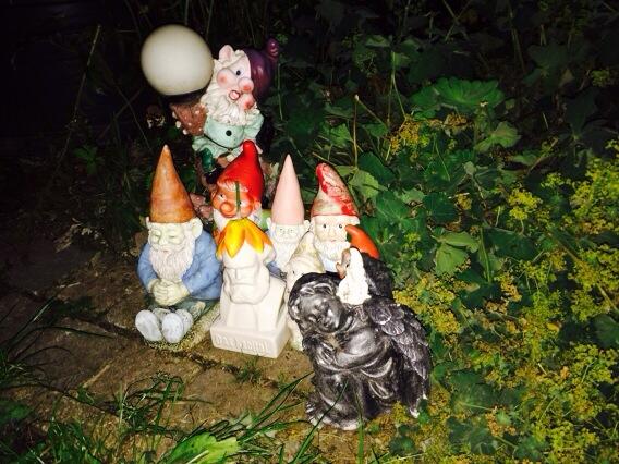 bieseman's tweet image. Geheime nachtelijke foto van de harde kern van het front de la libération des Nains de Jardin.