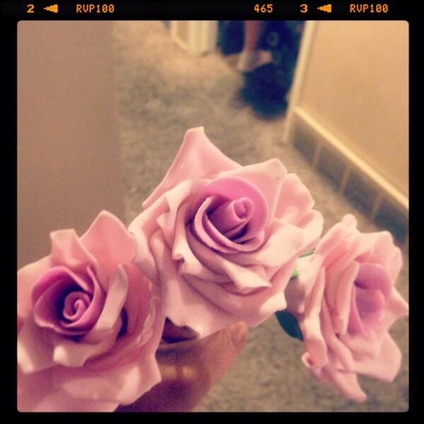 Sweetsuncakes's tweet photo. Two toned roses http://t.co/hQfIozawck