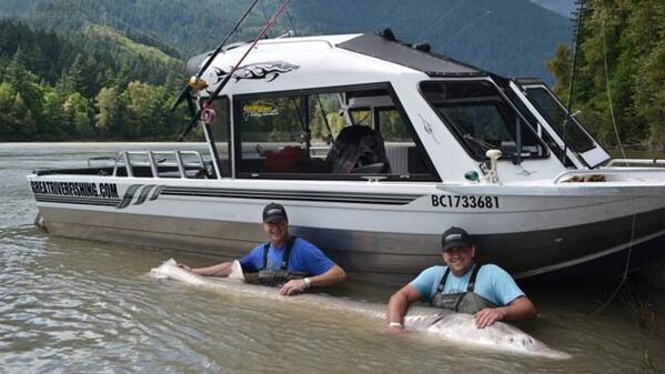GAFollowers's tweet photo. While on a Father's Day fishing trip this weekend 19 y/o Paul Jarvis of Atlanta caught a 11'10" 880+ pound sturgeon. http://t.co/Ot1v7YstZG