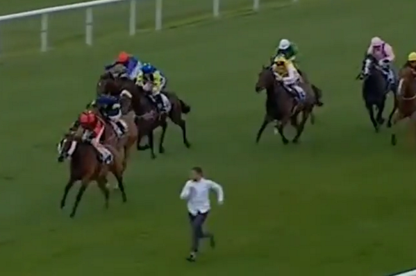 VIDEO: A man invades a horse race and tries to outrun the horses bit.ly/1lDA9K6