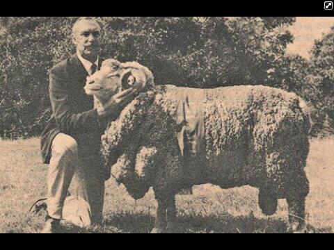 "I'm a winner, deal with it"