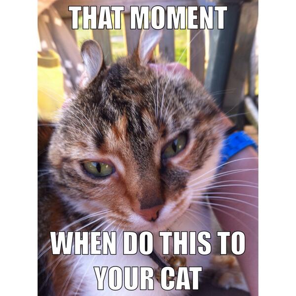 PatsyyPatsy tweet picture