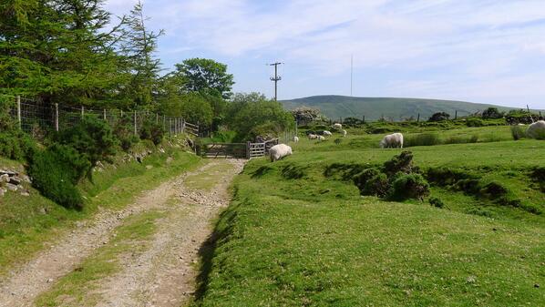 Beautiful walk this afternoon #FoelDrygarn #PreseliMountains #Wales #Pembrokeshire
