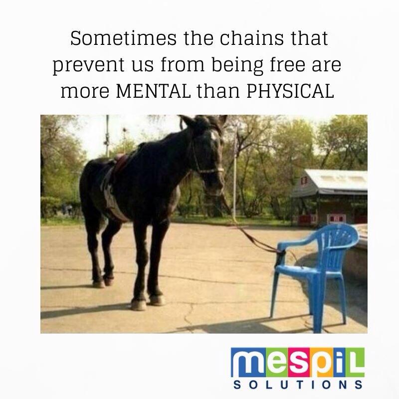 stúdió Csőr jelölje be horse tied to plastic chair Pénzügyi Bilincs