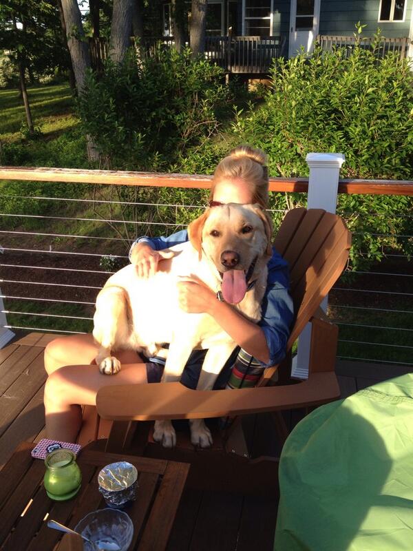 TuckProblems's tweet image. I don&apos;t care what anyone says, I will always be a lap dog