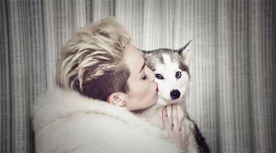 xrainbowmgcx's tweet photo. Biri bilgi versin fark kac bide farkin bakildigi seyi atsajiza #MileyForMMVA http://t.co/unvBDT2Igz