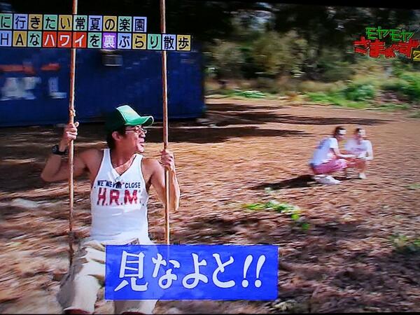 モヤさまハワイ モヤさまハワイ